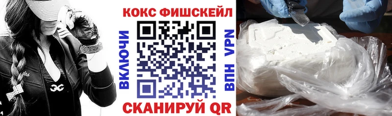 Купить где  Десногорск  Кокаин Fish Scale 
