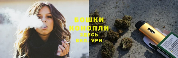 соль ск Инсар
