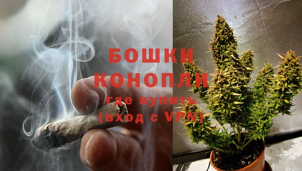винт Инта