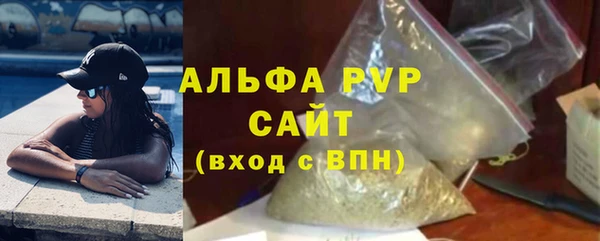 соль ск Инсар