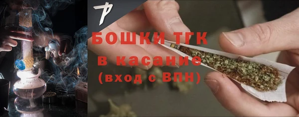 винт Инта