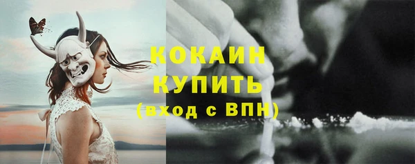 соль ск Инсар