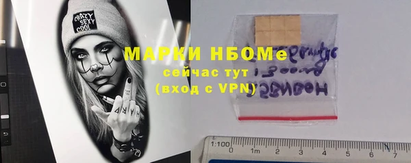 винт Инта
