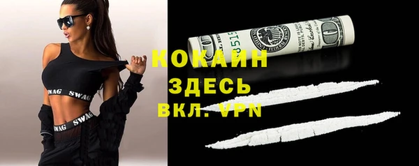 соль ск Инсар
