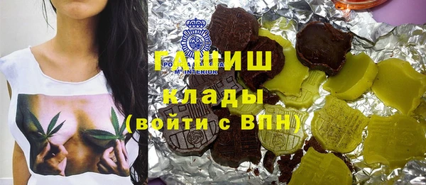 соль ск Инсар