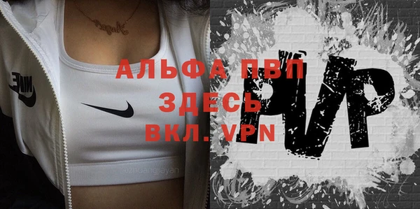 винт Инта
