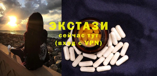 соль ск Инсар