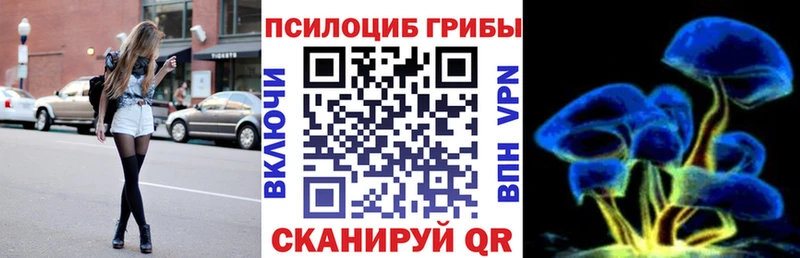 Галлюциногенные грибы Cubensis  Купить где  Десногорск 